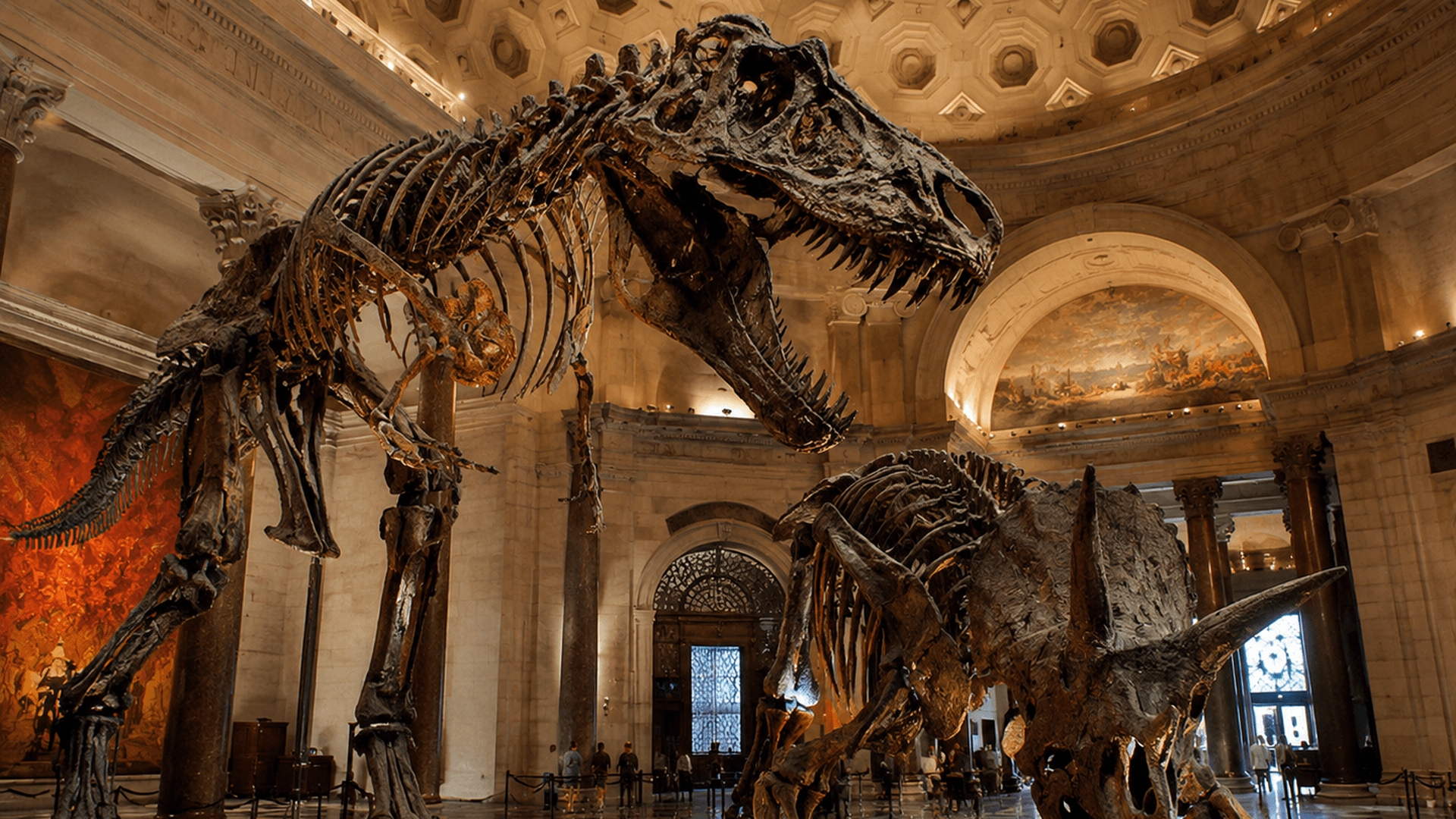 Natural History Museum